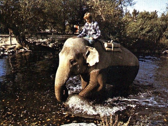 Zoo i stockholm