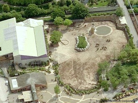 Asian elephant yard 2006