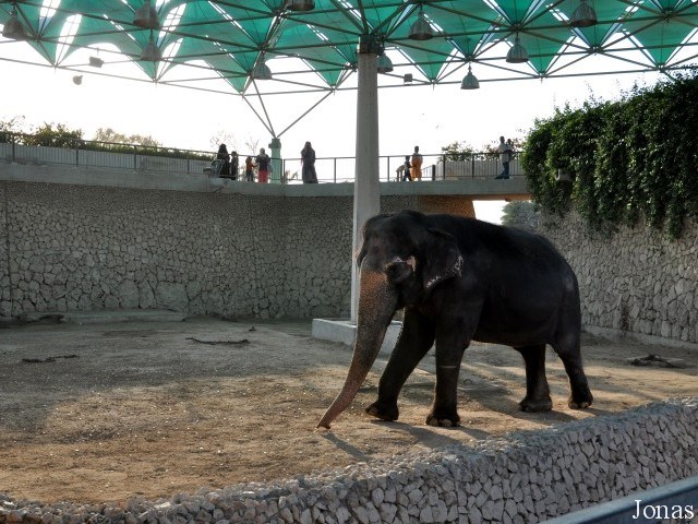 Photo 15: Elephant exhibit - Copyright © 01/2009 by Jonas ...