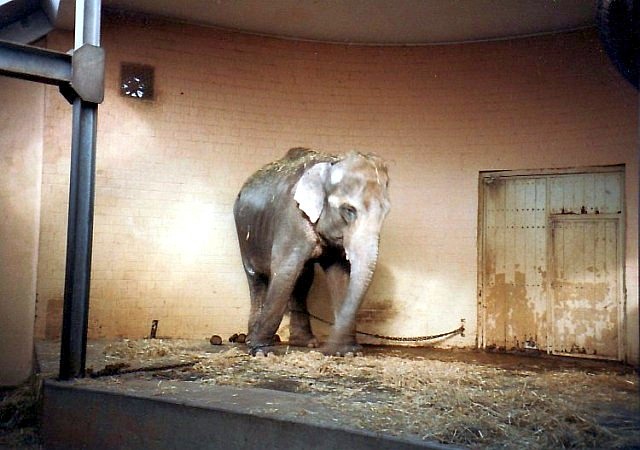 Saarbrucken Zoo Germany